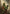 Green Jambhala Thangka: Prosperity, Abundance & Spiritual Fulfillment - Buddhabelief