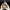 Wanmao Gloves | Nanofiber deep cleaning, suitable for bodhi, wood, and walnut carvings, and accelerating porcelain patina - Buddhabelief