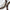 7mm Kuka Four - Color Handheld Prayer Beads – High - End Exclusive Artisan - Crafted Spiritual Mala - Buddhabelief