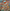 Uncovering Tibetan Thangka Murals in Maitreya Hall - Buddhabelief