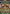 Unlocking the Kalachakra Thangka: Wheel of Time in Tibetan Sacred Art