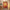 Handmade Tibetan Thangka Wall Scroll with Silk Tassel, Lama Blessed for Home Altar, Meditation & Wealth