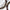 7mm Kuka Four-Color Handheld Prayer Beads – High-End Exclusive Artisan-Crafted Spiritual Mala